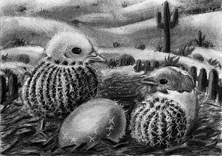Chicks and Cactus by Gloria Zhang