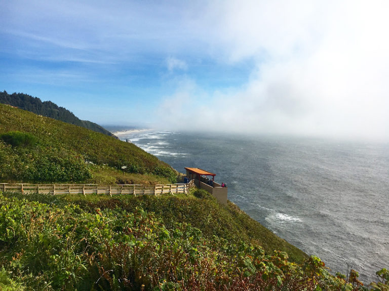 Sea Lion Caves Foggy View by Gloria Zhang