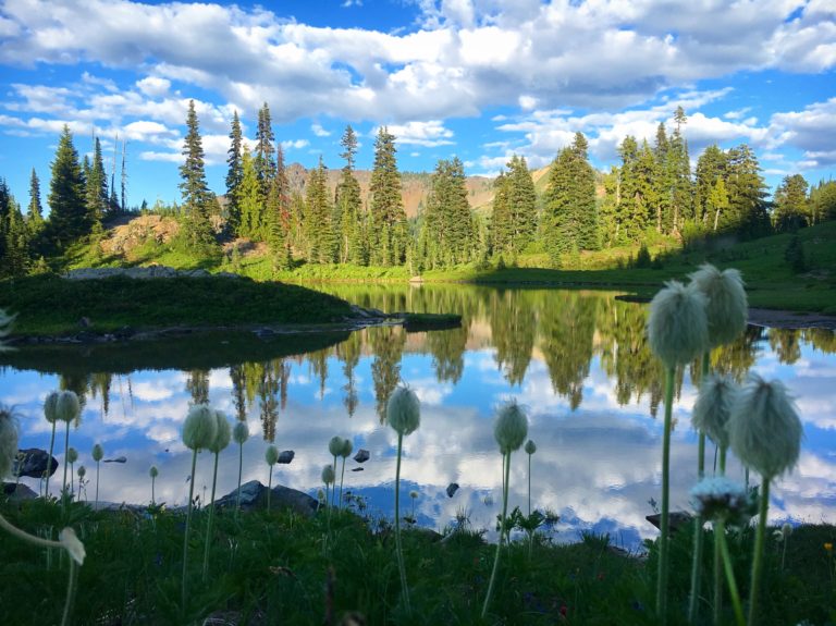 Fuzzy pond at Mt.Rainier by Gloria Zhang