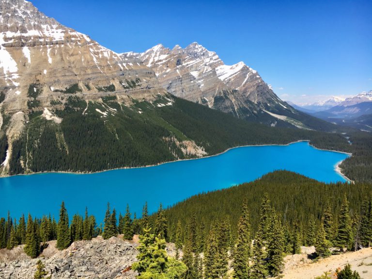 Peyto Lake by Gloria Zhang